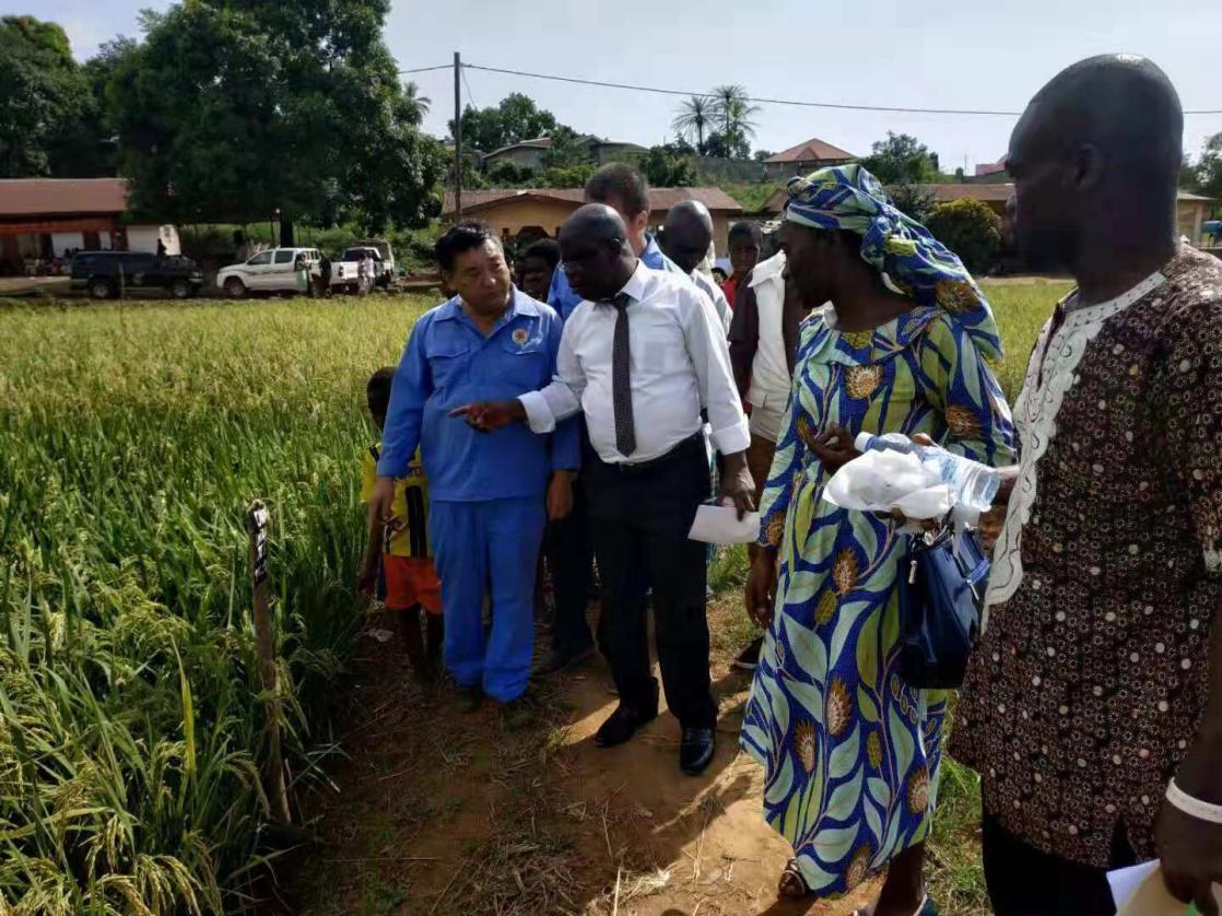 圖片2.jpg 圖片2.jpg