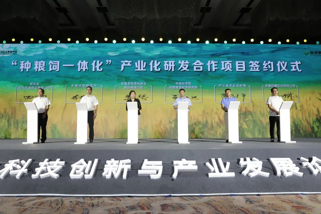 圖片17.png 圖片17.png